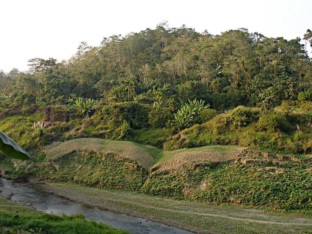 wycieczki birma bangladesz bhutan