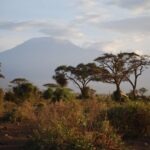 KENIA TANZANIA ZANZIBAR –  16 dni