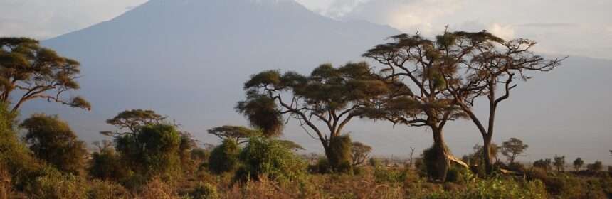 krajobraz uchwycony podczas wycieczki Kenia Tanzania Zanzibar
