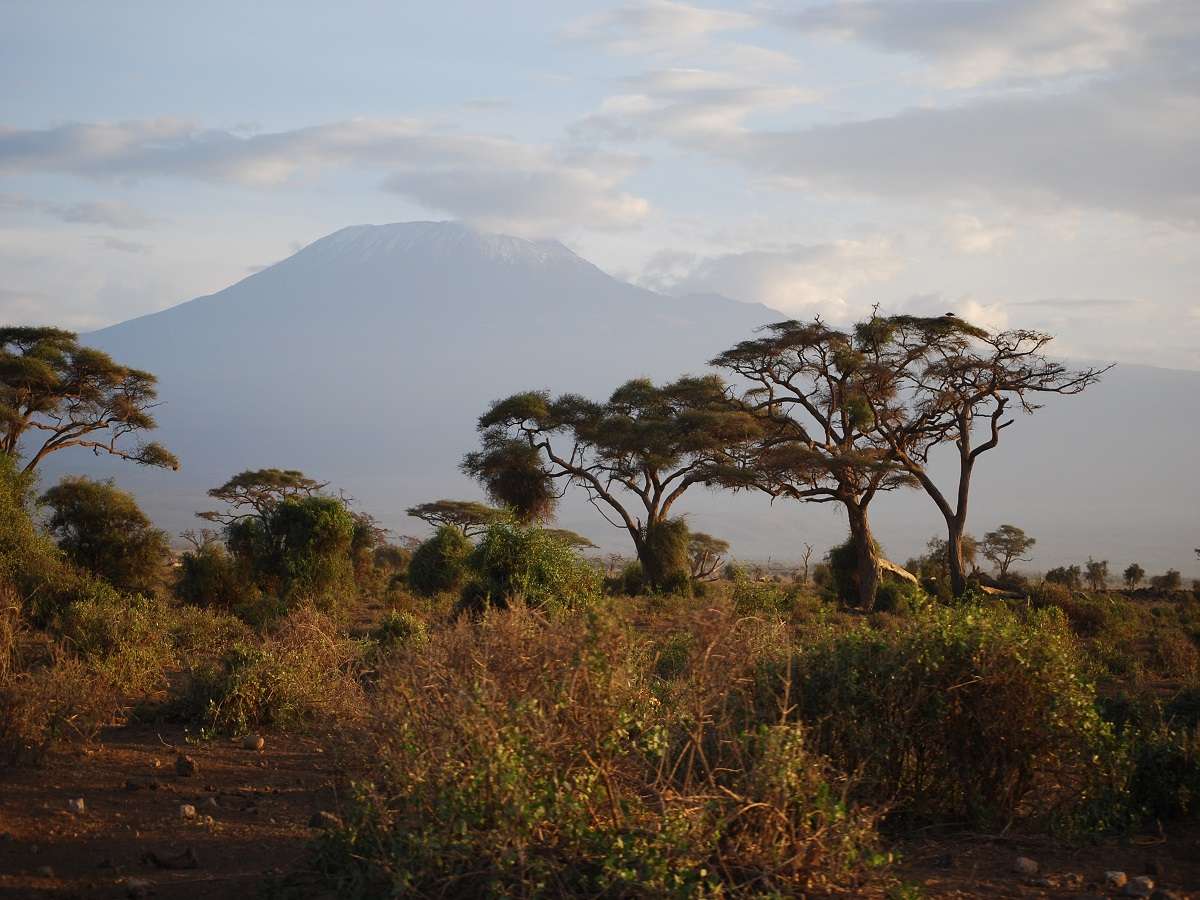 krajobraz uchwycony podczas wycieczki Kenia Tanzania Zanzibar