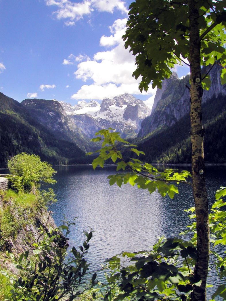 bilety lotnicze austria