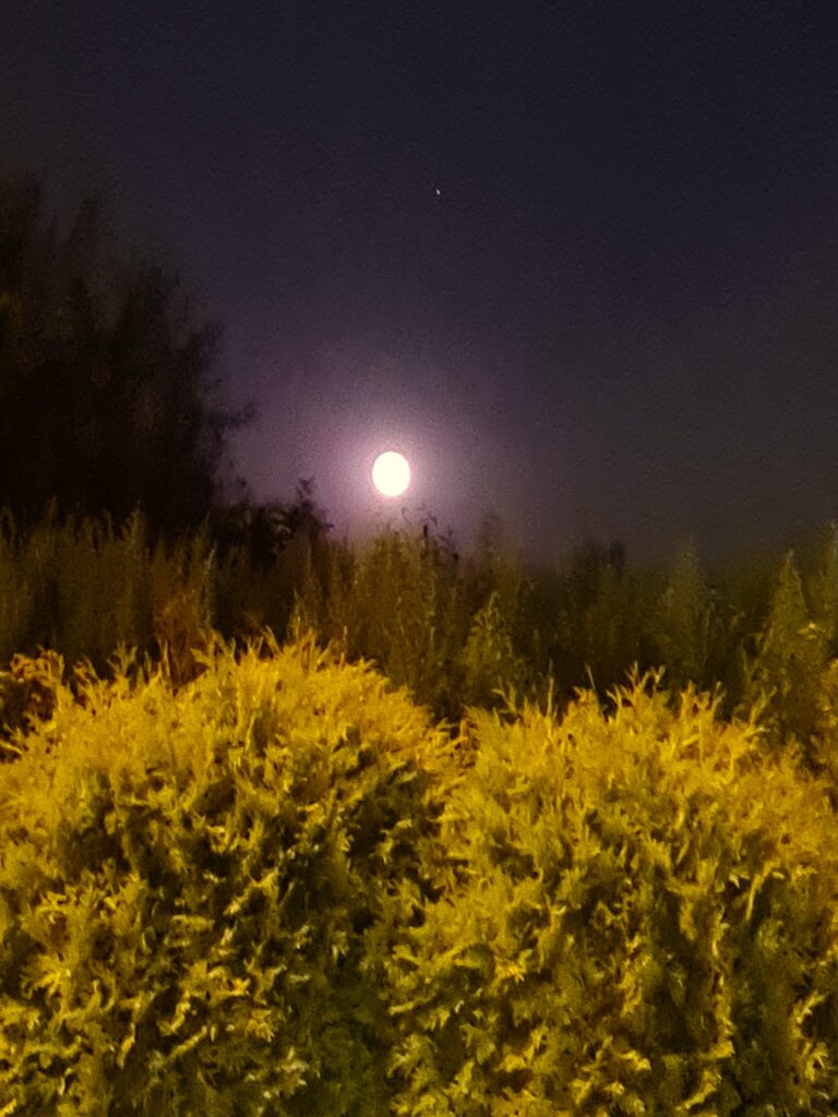 księżyc w pełni podczas wczasów na Podlasiu