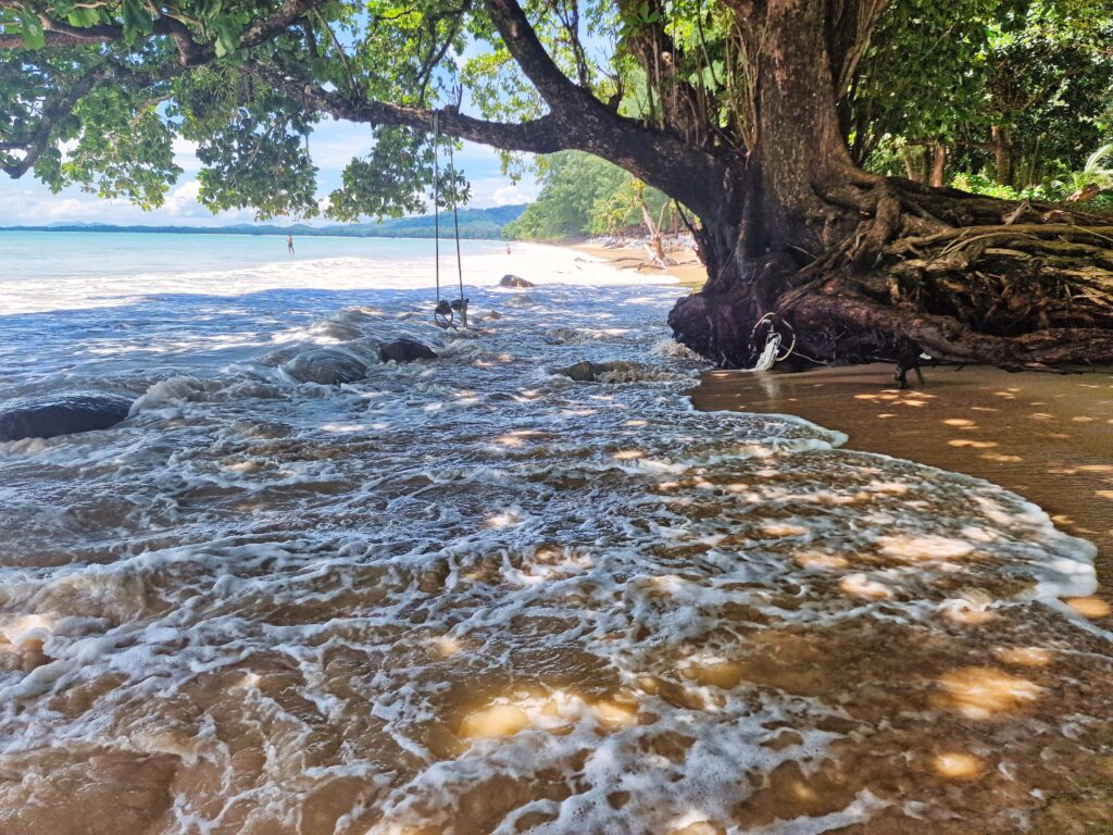 huśtawka na tropikalnej plaży w regionie Khao Lak w Tajlandii