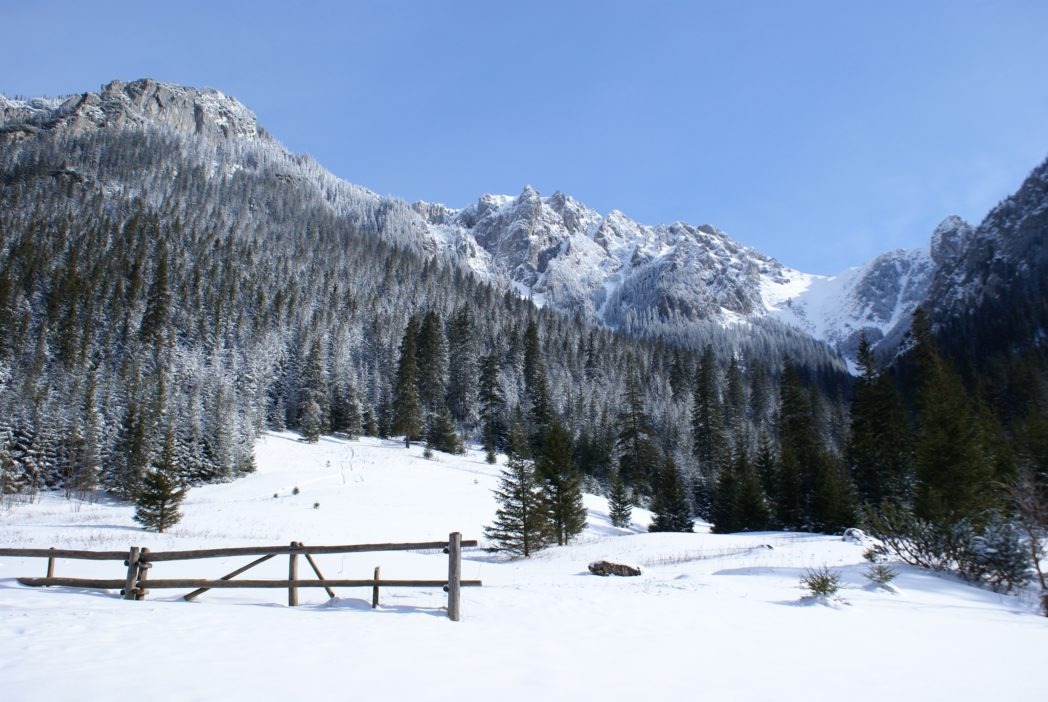 zakopane ski info