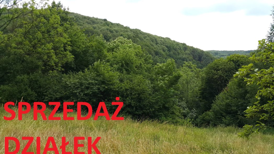 dzialki na sprzedaz kolo krakowa