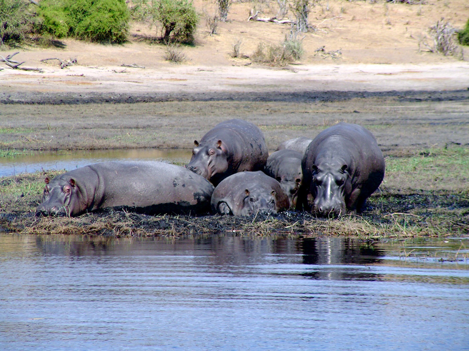botswana wycieczki