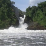 wycieczka do Ugandy