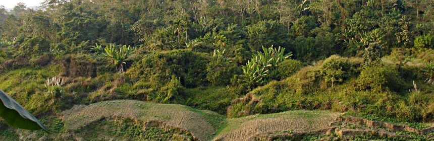 wycieczki birma bangladesz bhutan