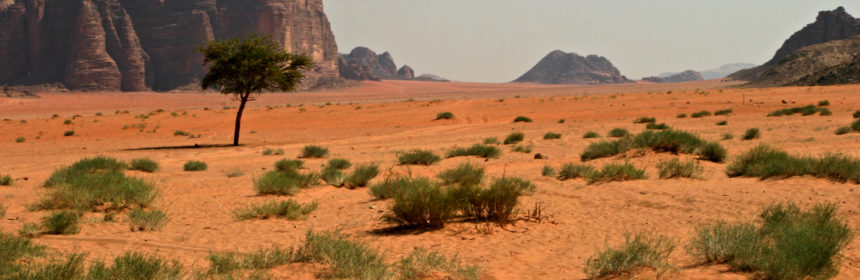 Pustynia Mojave jako jeden z punktów atrakcyjnej wycieczki po zachodnich stanach USA