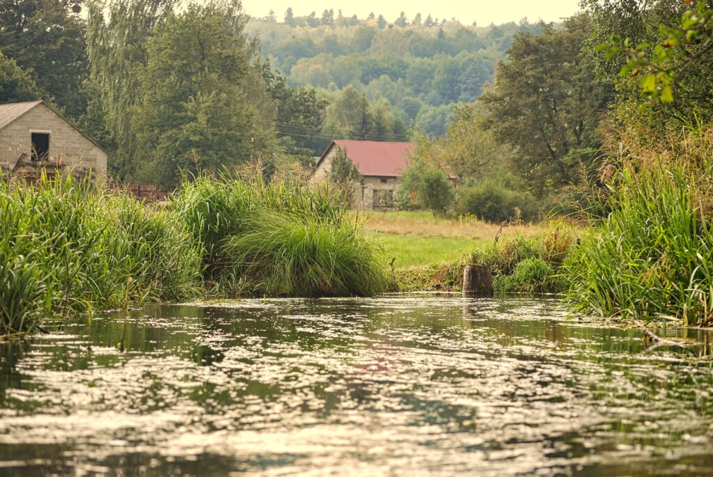 rzeka Wieprz - typowy krajobraz dla Roztocza