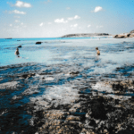 Kreta (wyspy greckie)