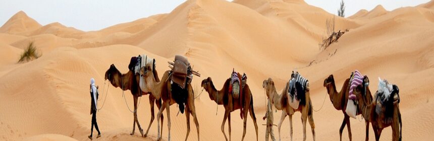 przepiękna pustynia Sahara podczas podróży na wczasy w Tunezji