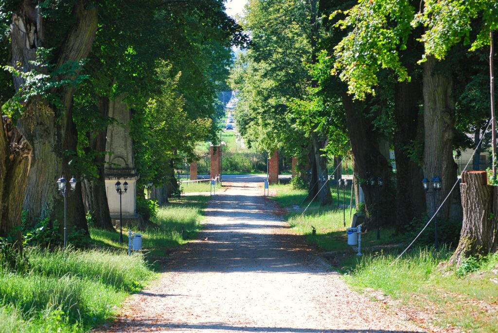 The park of the French style at the Losiow Palace while the tour from Krakow to the region of Roztocze
