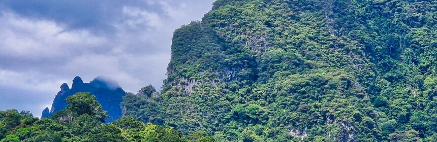 Bujna dżungla w Parku Narodowym Khao Sok (Khao Sok National Park) na południu kraju podczas wycieczki po Tajlandii