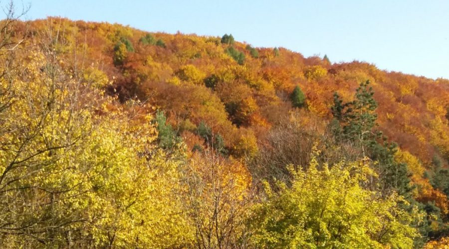 polish jura in autumn