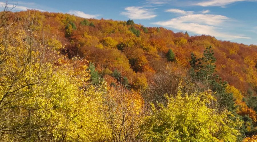 Polish Jura in autumn