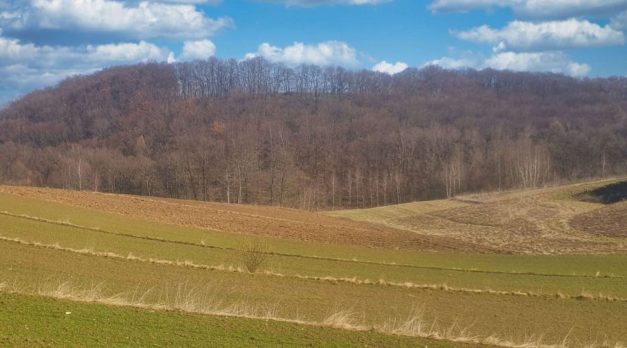hills and meadows in area of Rzeplin in the Malopolska region