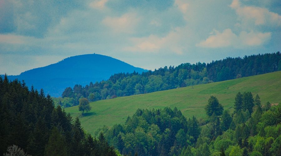 widok na Beskid Sądecki z miejscowości Wierchomla Mała