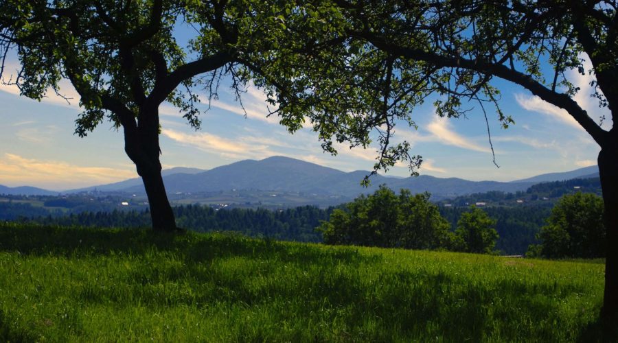 widok na Beskid Wyspowy podczas wczasów na Ziemi Bocheńskiej