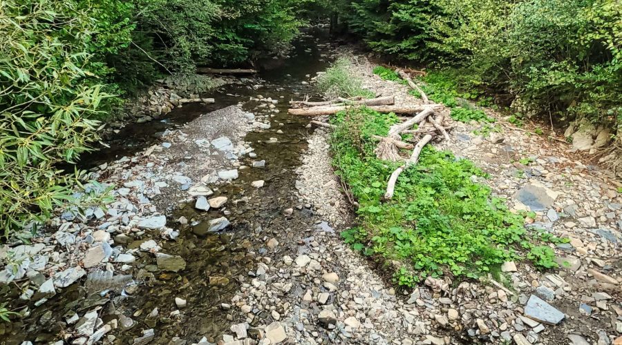 the Bieszczady mountains brook in area of a town Baligrod