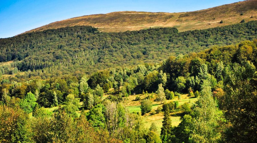 the Bieszczady mountains, the most south eastern mountains in Poland at the borders with Ukraine and Slovakia; the picture shows the peaks of the Polonina Carynska