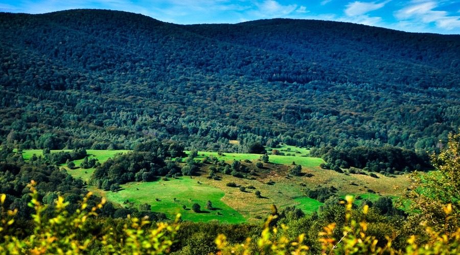 Bieszczady widziane z Przełęczy Wyżniańskiej