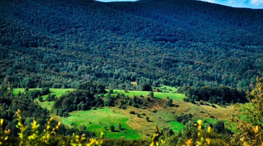 Bieszczady widziane z Przełęczy Wyżniańskiej