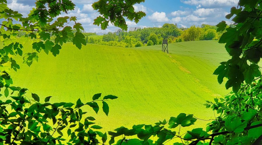 The Dlubnianski Scenic Park in the Polish Jura north of Krakow