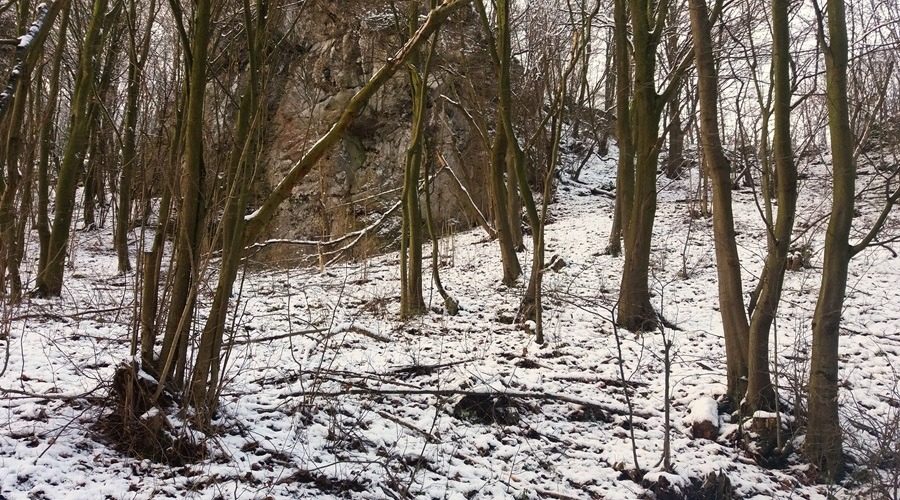 otulina Ojcowskiego Park Narodowego zimą