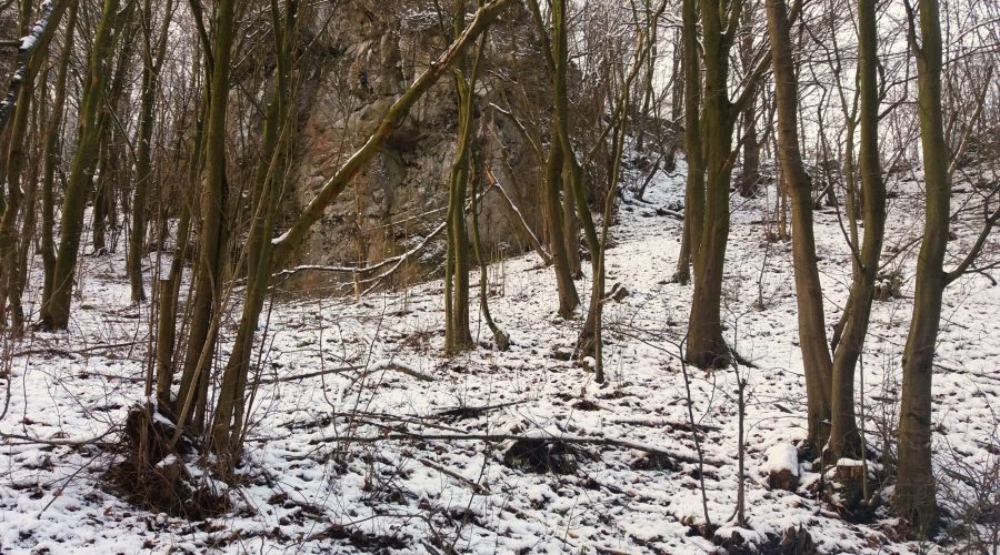 otulina Ojcowskiego Park Narodowego zimą