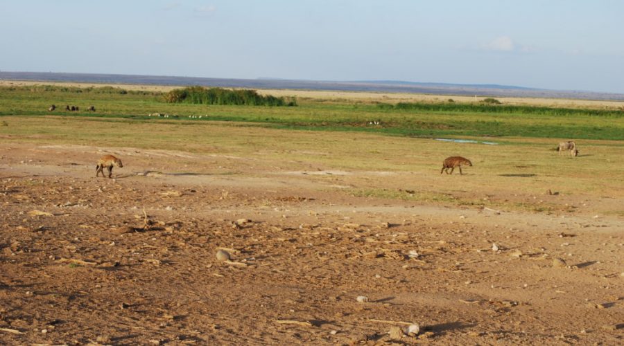 wycieczki objazdowe kenia