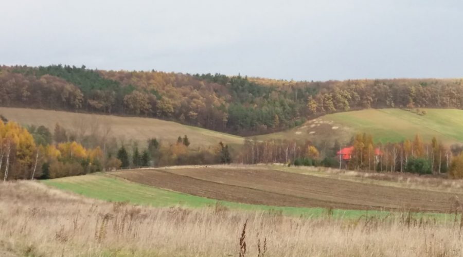noclegi na polskiej jurze