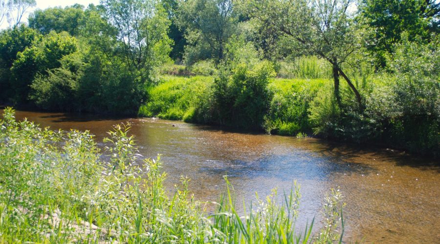 okolice rzeki Stradomka na Ziemi Bocheńskiej to świetne miejsce na udane wczasy w Małopolsce
