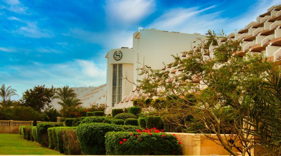 hotel Sheraton Sharm w egipskim Szarm el Szejk to zawsze udana rezerwacja wakacji