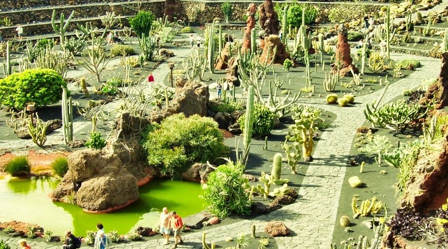park kaktusów na wulkanicznej wyspie archipelagu Wysp Kanaryjskich - Lanzarote