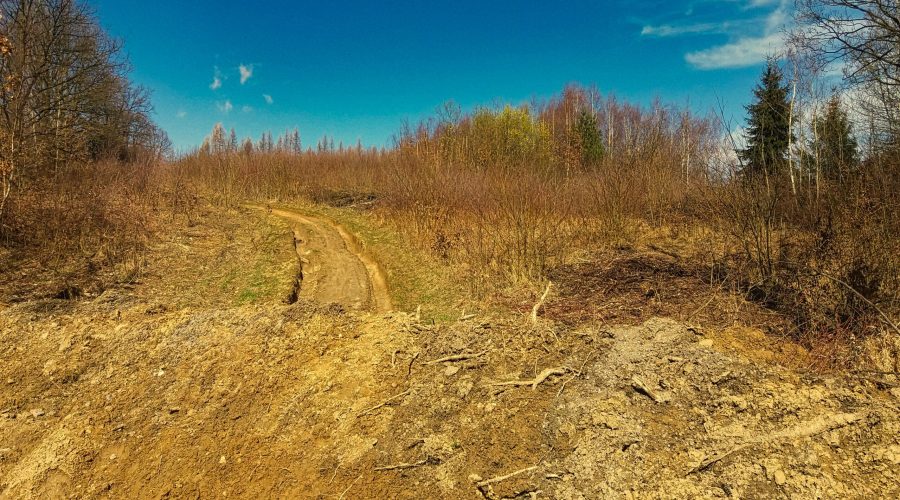 działka w Jerzmanowicach na polskiej Jurze w pobliżu pięknych ścianek wspinaczkowych