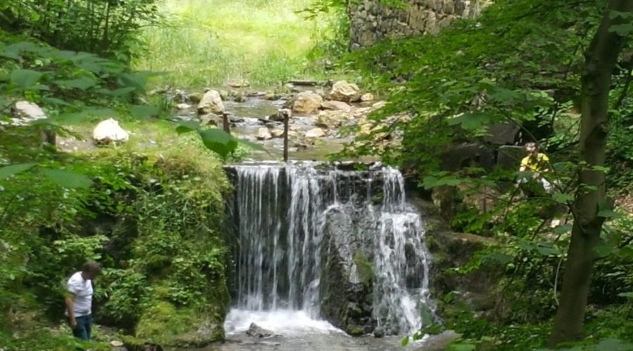 tenczynski park krajobrazowy