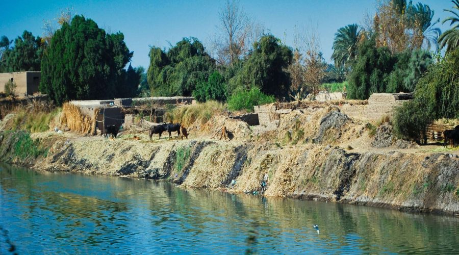 przy jednym z kanałów Nilu w drodze do Luksoru