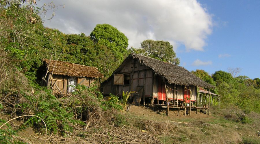 wycieczki objazdowe na madagaskar