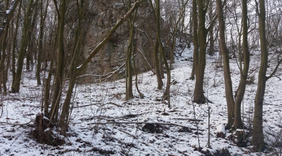 ojcowski park narodowy zima