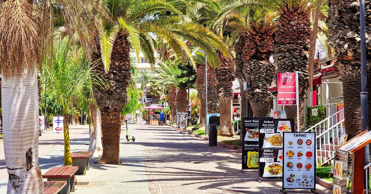 alejka palmowa w Los Cristianos podczas wycieczki po Teneryfie