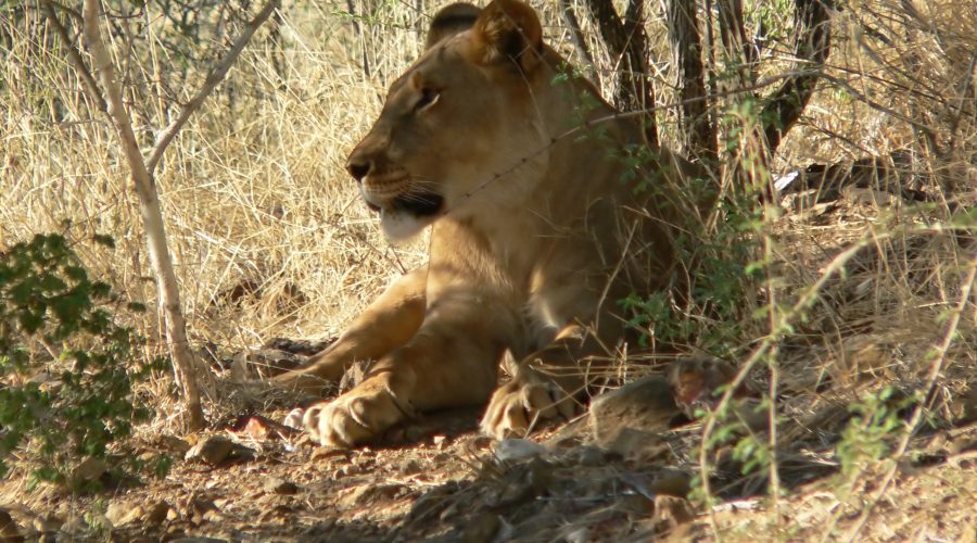 namibia wycieczki objazdowe