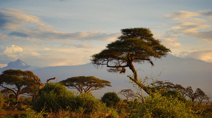 Mawenzi - szczyt masywu Kilimanjaro widziany z Parku Amboseli podczas podróży na noclegi w hotelu w Kenii