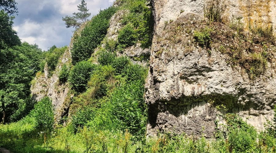 The Mnikowska valley is one of the most beautiful valleys of the Polish Jura