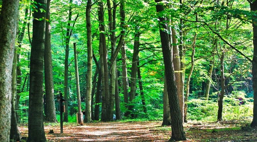 jesienny spacer przez Ojcowski Park Narodowy
