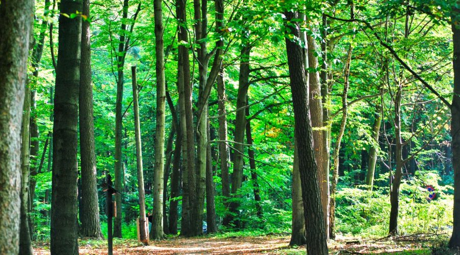 jesienny spacer przez Ojcowski Park Narodowy