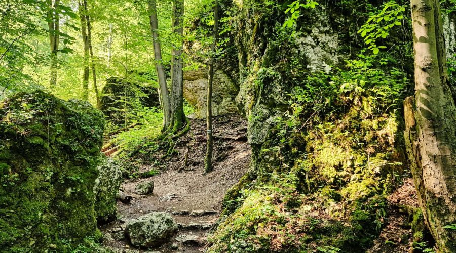 the tourist trail through the Ojcowski National Park from the Lokietek Cave to the Krakowska Gate