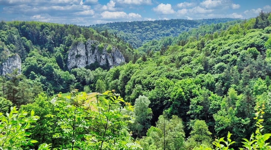 pejzaż Ojcowskiego Parku Narodowego widziany z okolic Grodziska na Jurze