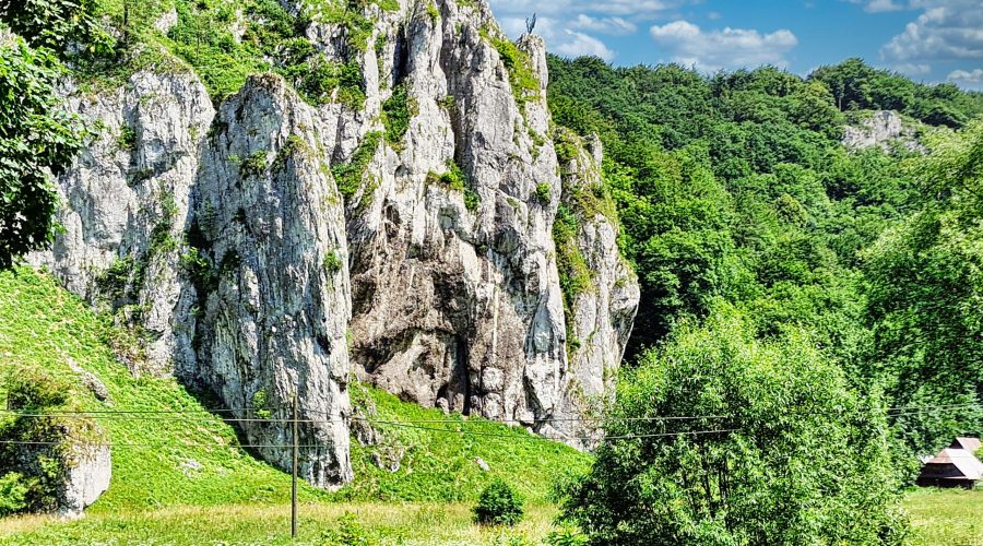 ostańce wapienne w okolicy Bramy Krakowskiej po zejściu szlakiem od strony Czajowic do Ojcowskiego Parku Narodowego