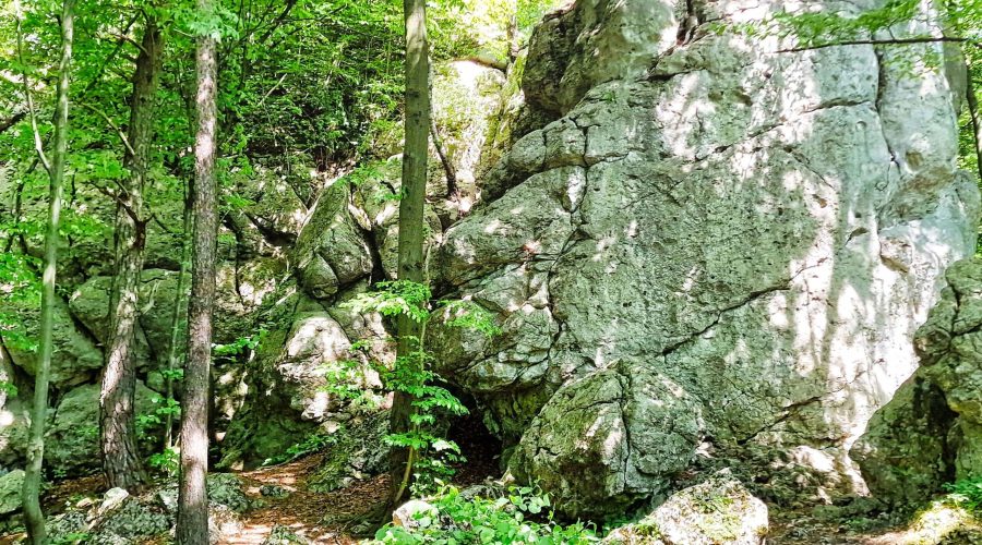ostańce wapienne w pobliżu Zamku Morsko